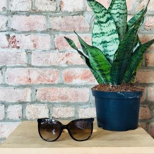 Ray Ban Sunglasses - Tortoise